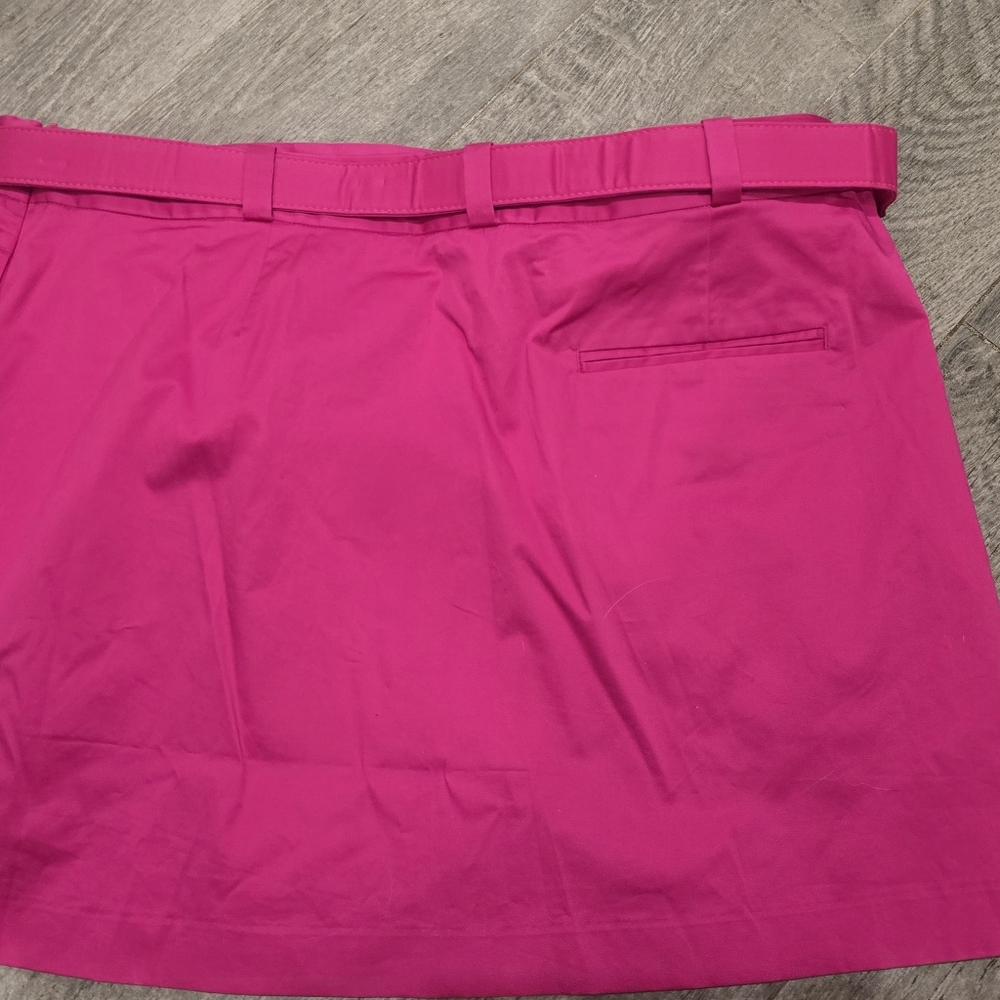 NWT Pink Banana Republic Skirt - size 20 - Picture 2 of 3